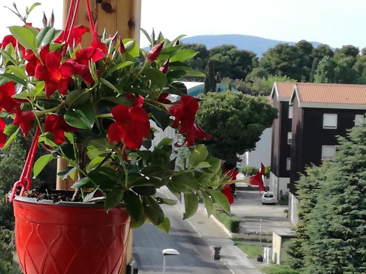 Nel Blu Dipinto Di Blu Apartment Porto Recanati Exterior foto